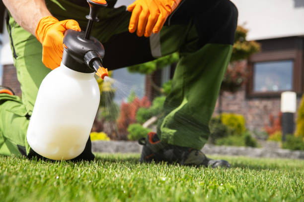 Best Residential Pest Control  in Timberlane, IL