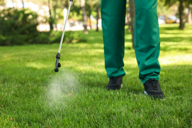 Best Best Pest Control Companies  in Timberlane, IL