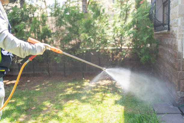 Best Affordable Pest Control Services  in Timberlane, IL