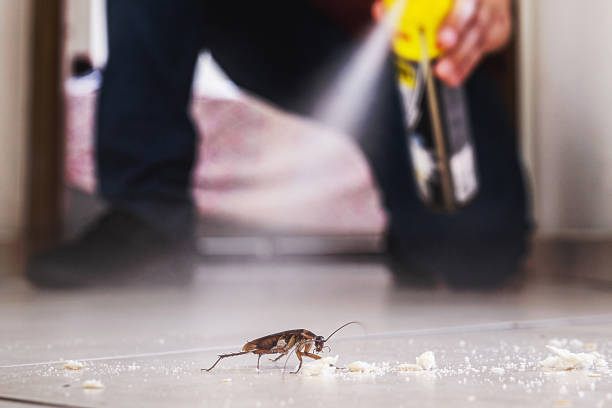 Best Residential Pest Control  in Timberlane, IL