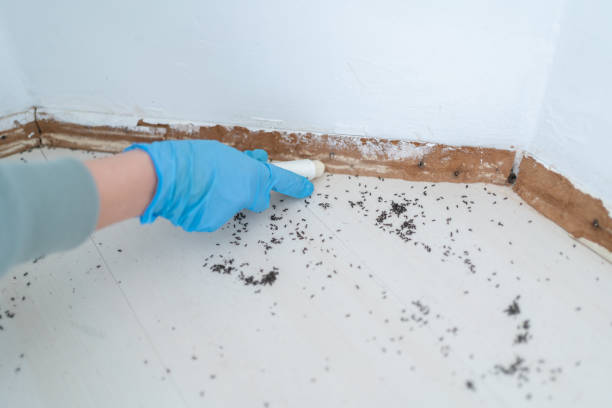 Best Pest Prevention Services  in Timberlane, IL